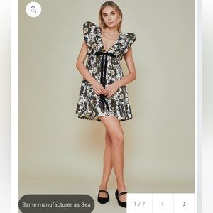 NWT Didi Dress